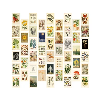 Vintage Aesthetic Wall Колаж Kit - 50 Мини плакати Botanical Cottagecore Колаж Art (4x6 инча) за Модни фотостены